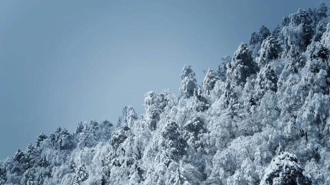 海岛纪元